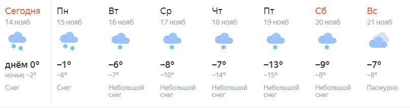 Фото Морозы до -20 и снегопад: синоптики предупредили об ухудшении погоды в Новосибирске с 15 ноября 3